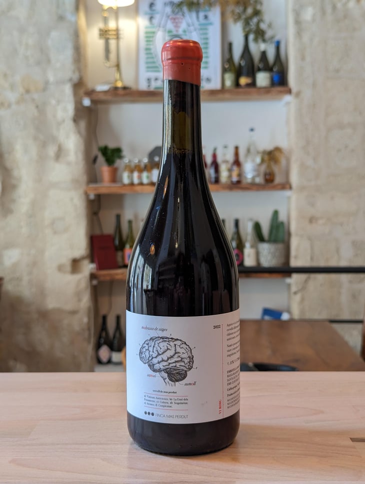 Cervell de Mas Perdut - Finca Mas Perdut - Josep i Rebeca -2021