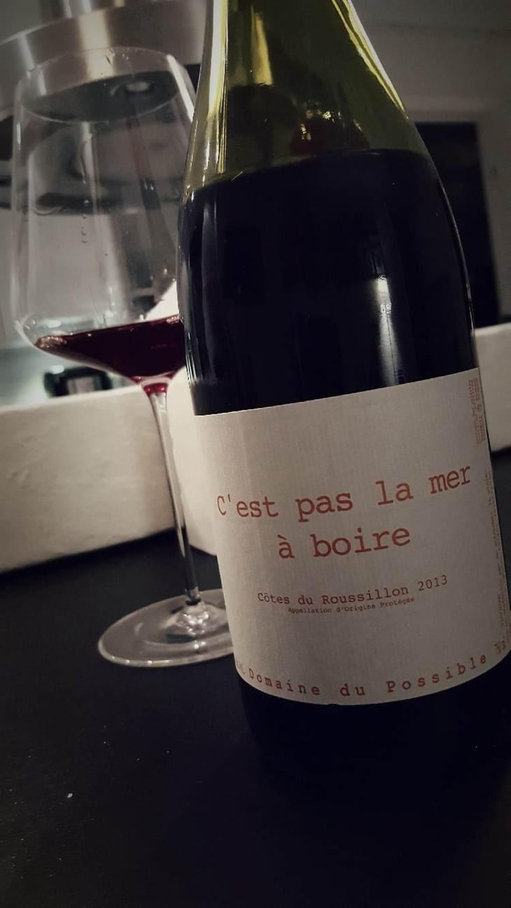 C'est pas la mer à boire - Domaine du Possible - Loïc Roure 