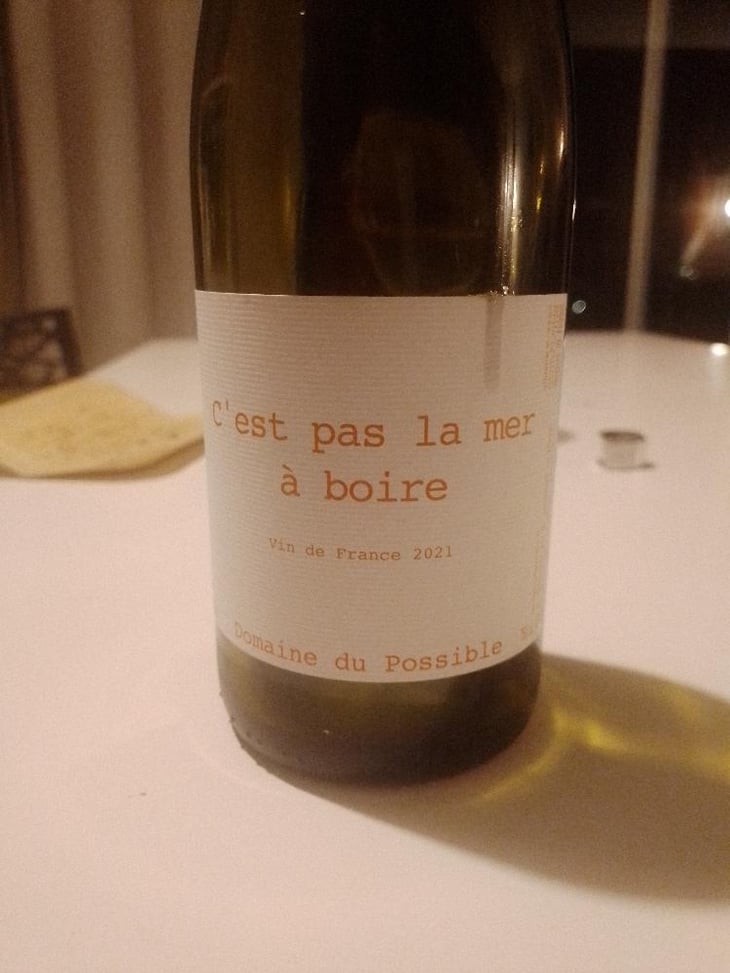 C'est pas la mer à boire - Domaine du Possible - Loïc Roure 