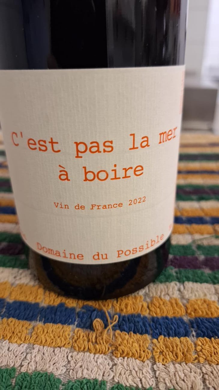 C'est pas la mer à boire - Domaine du Possible - Loïc Roure 