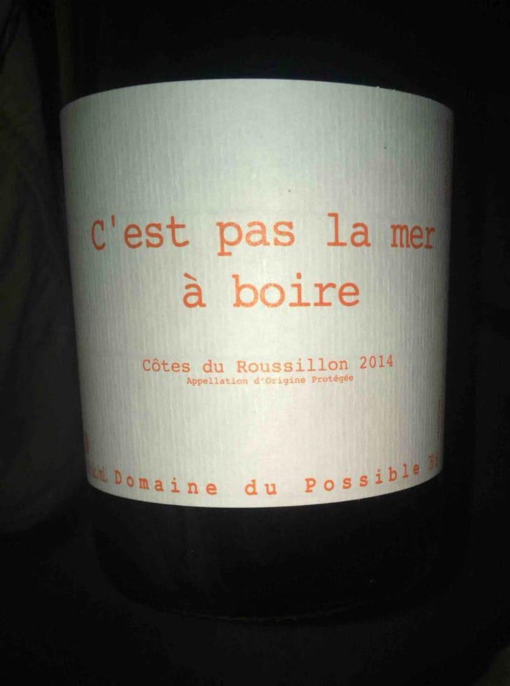 C'est pas la mer à boire - Domaine du Possible - Loïc Roure 