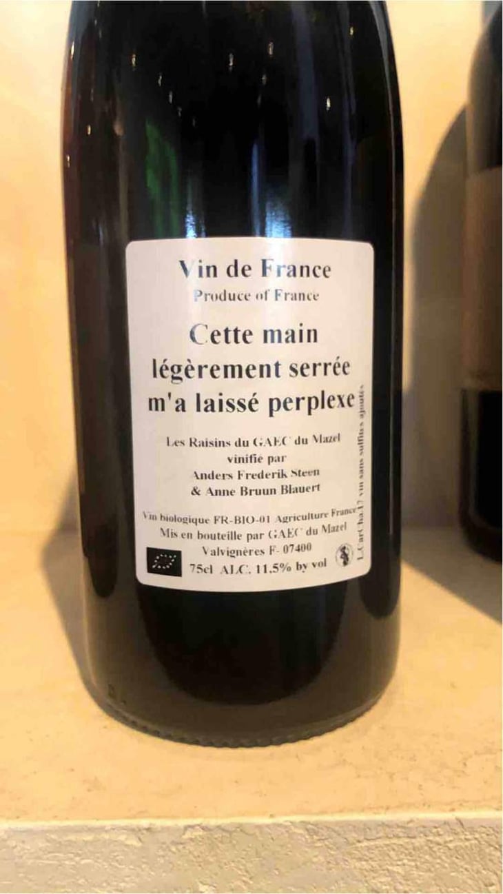 Cette main légèrement serrée m'a laissé perplexe - Anders Frederik Steen & Anne Bruun Blauert - Anders Frederik Steen & Anne Bruun Blauert 
