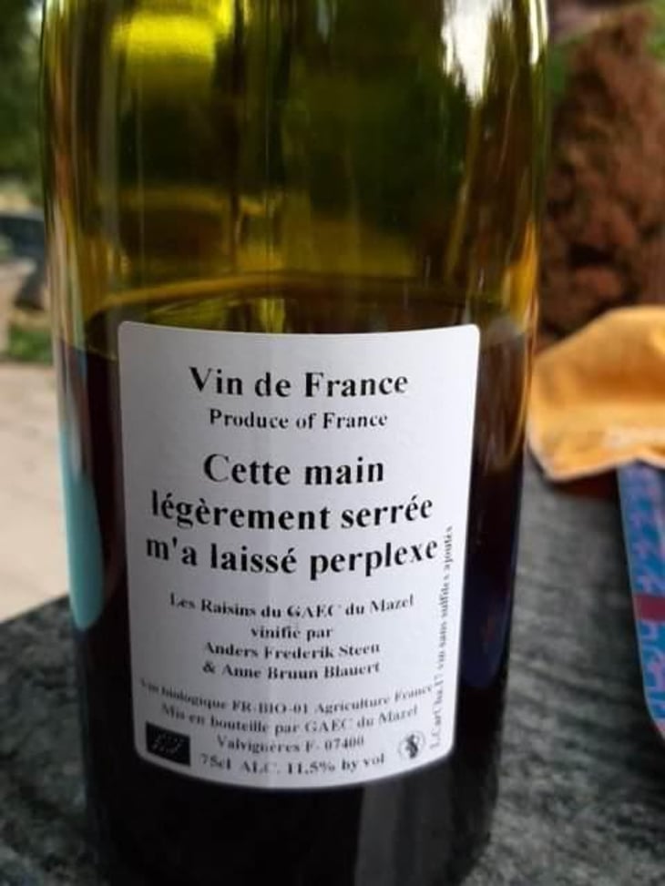 Cette main légèrement serrée m'a laissé perplexe - Anders Frederik Steen & Anne Bruun Blauert - Anders Frederik Steen & Anne Bruun Blauert 