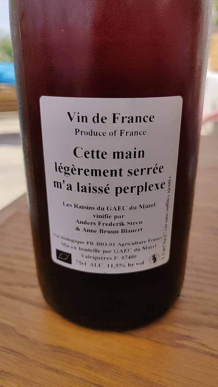 Cette main légèrement serrée m'a laissé perplexe - Anders Frederik Steen & Anne Bruun Blauert - Anders Frederik Steen & Anne Bruun Blauert 