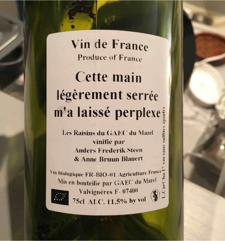 Cette main légèrement serrée m'a laissé perplexe - Anders Frederik Steen & Anne Bruun Blauert - Anders Frederik Steen & Anne Bruun Blauert 
