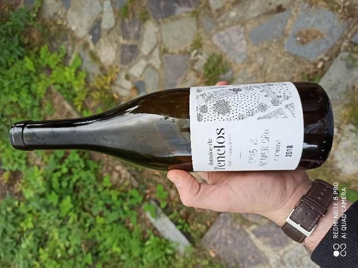 Chablis Premier Cru Montmains - Domaine De L’enclos - Romain & Damien Bouchard 