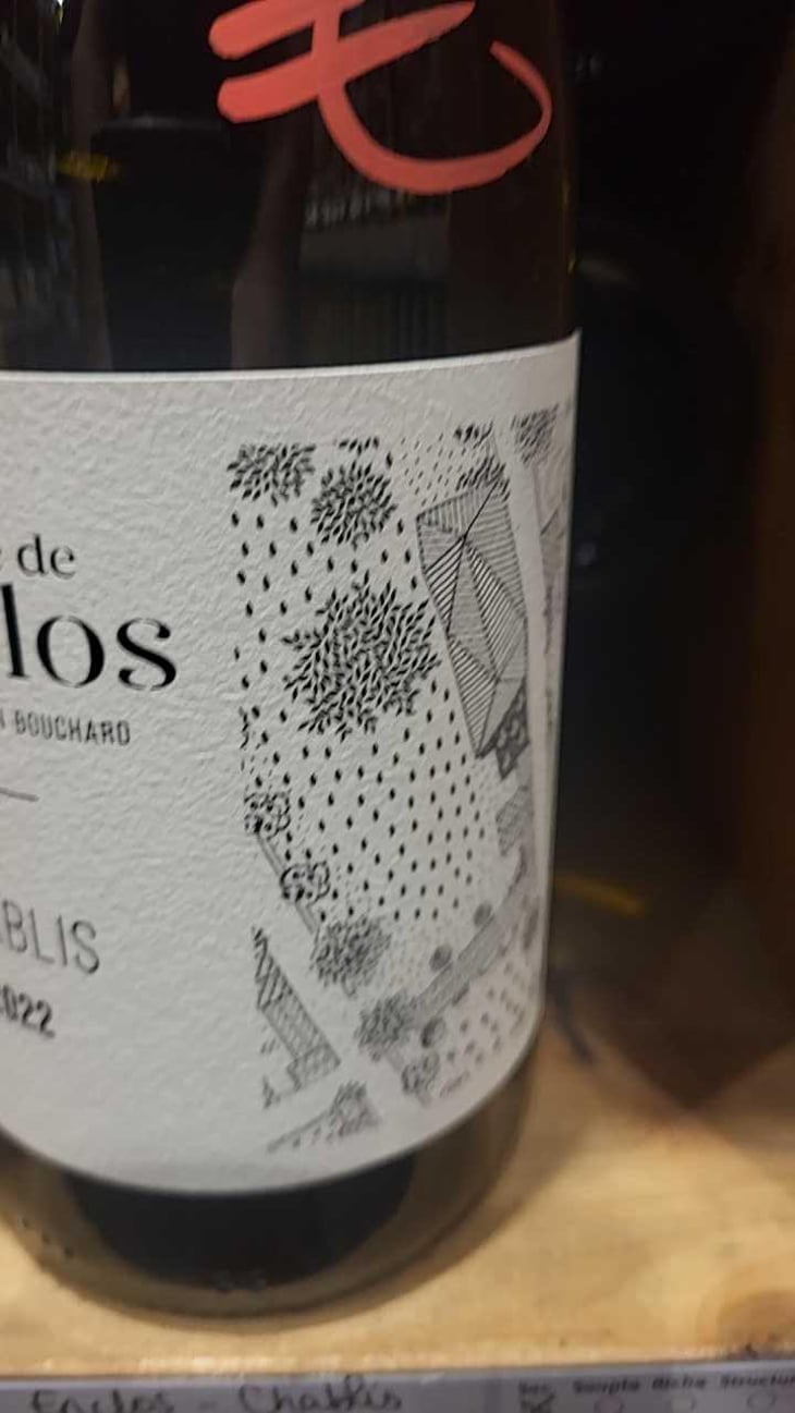 Chablis - Domaine De L’enclos - Romain & Damien Bouchard -2018