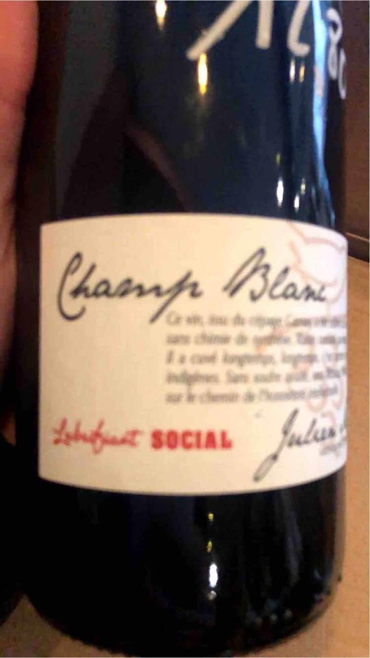 Champ Blanc - Julien Merle - Julien Merle 
