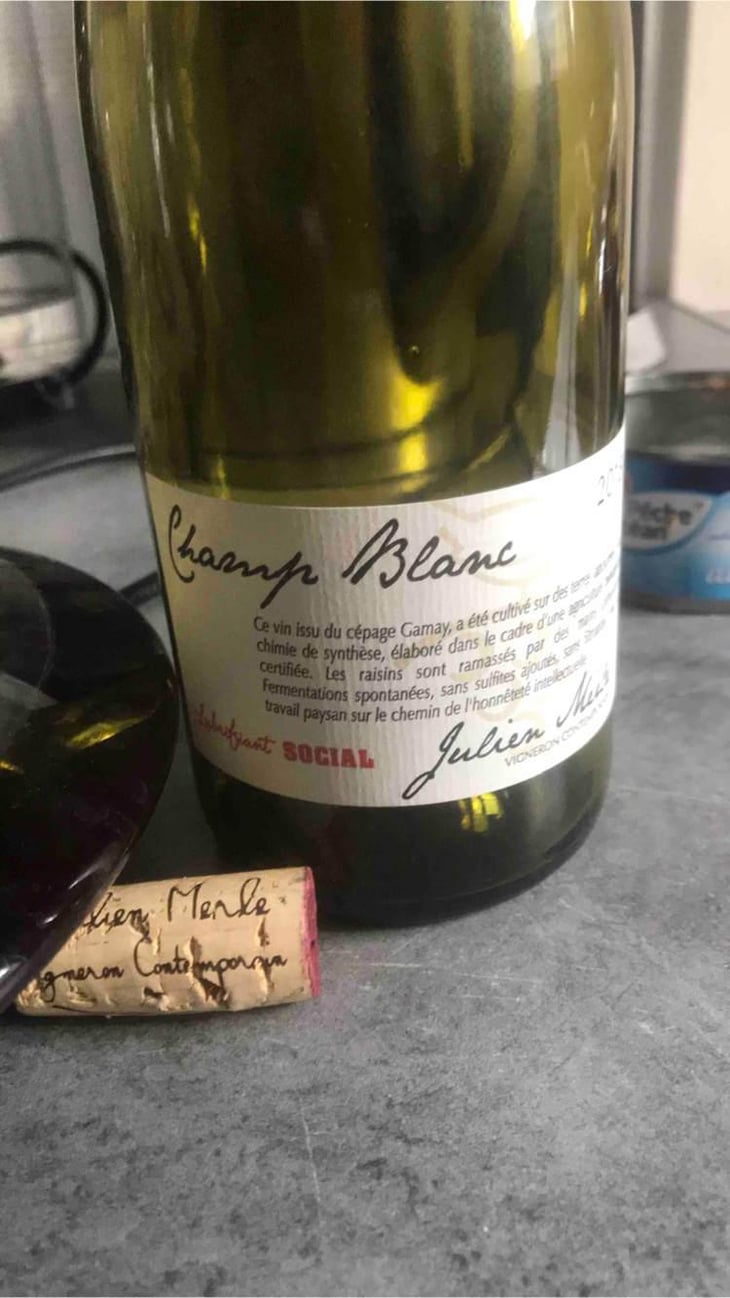 Champ Blanc - Julien Merle - Julien Merle 