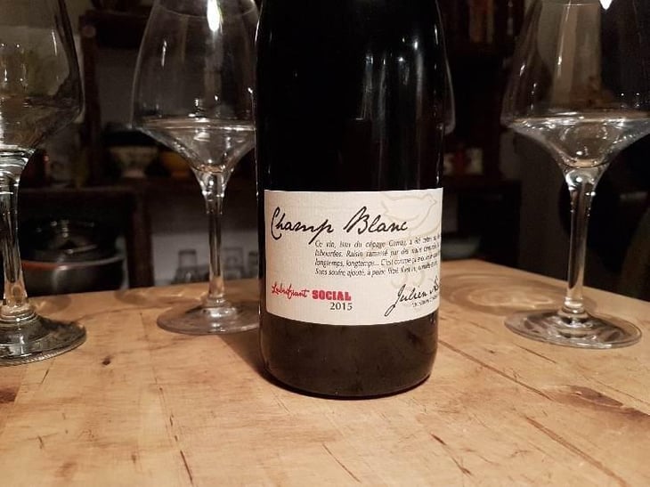 Champ Blanc - Julien Merle - Julien Merle 