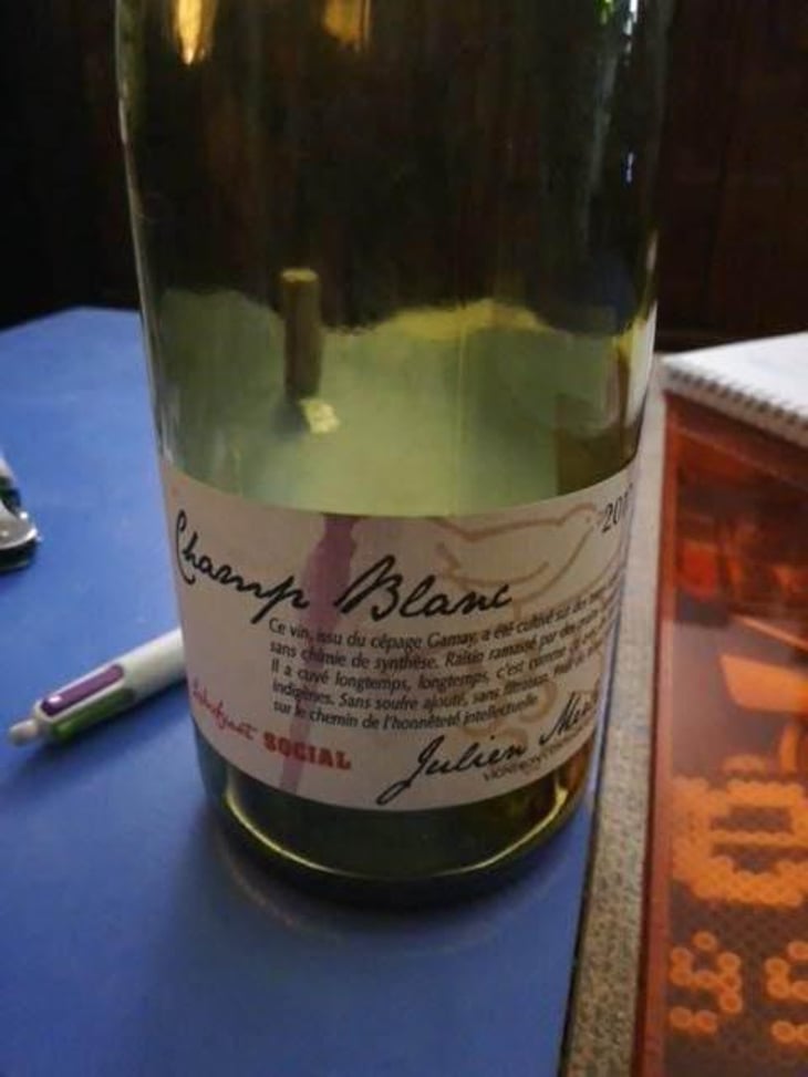 Champ Blanc - Julien Merle - Julien Merle 