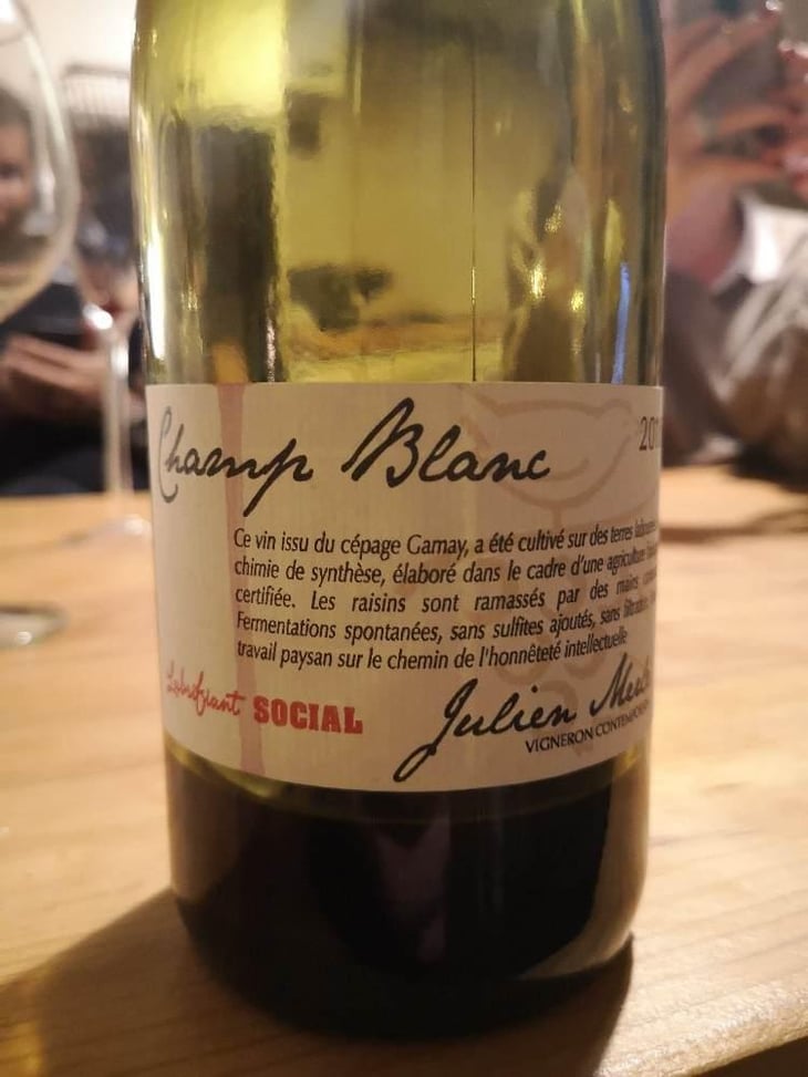 Champ Blanc - Julien Merle - Julien Merle 