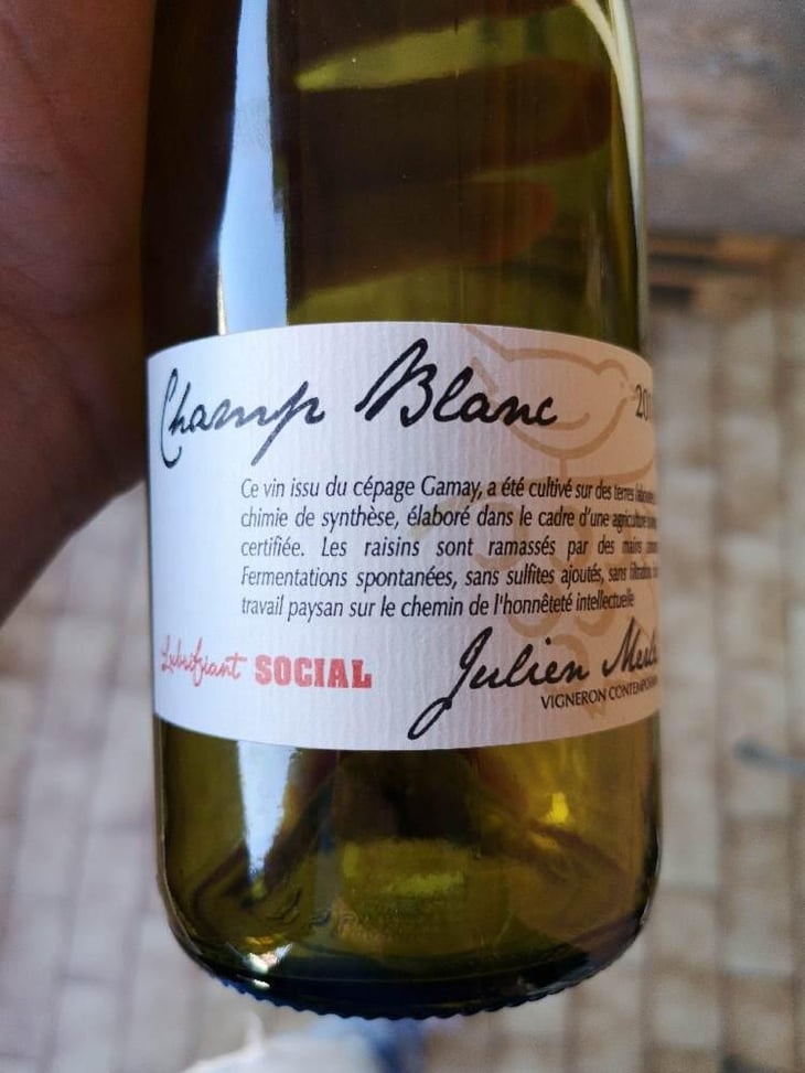 Champ Blanc - Julien Merle - Julien Merle 