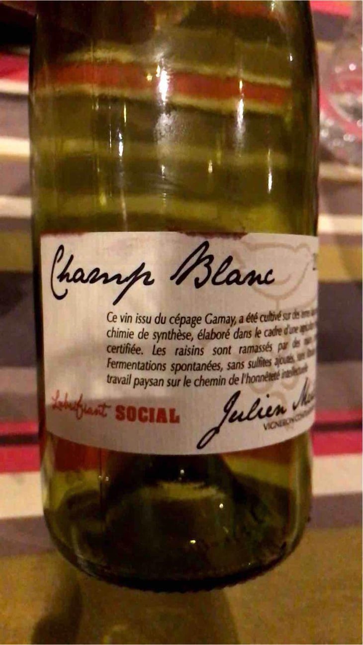Champ Blanc - Julien Merle - Julien Merle 