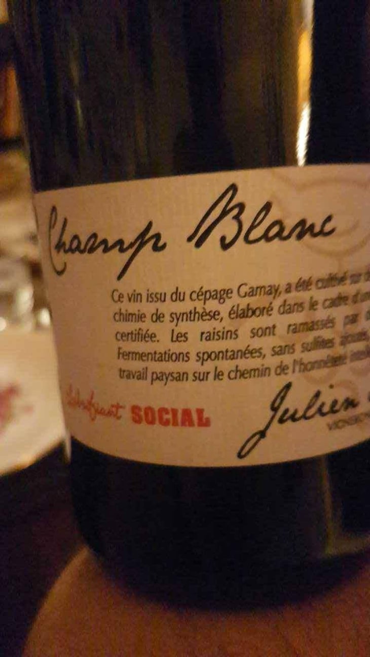 Champ Blanc - Julien Merle - Julien Merle 