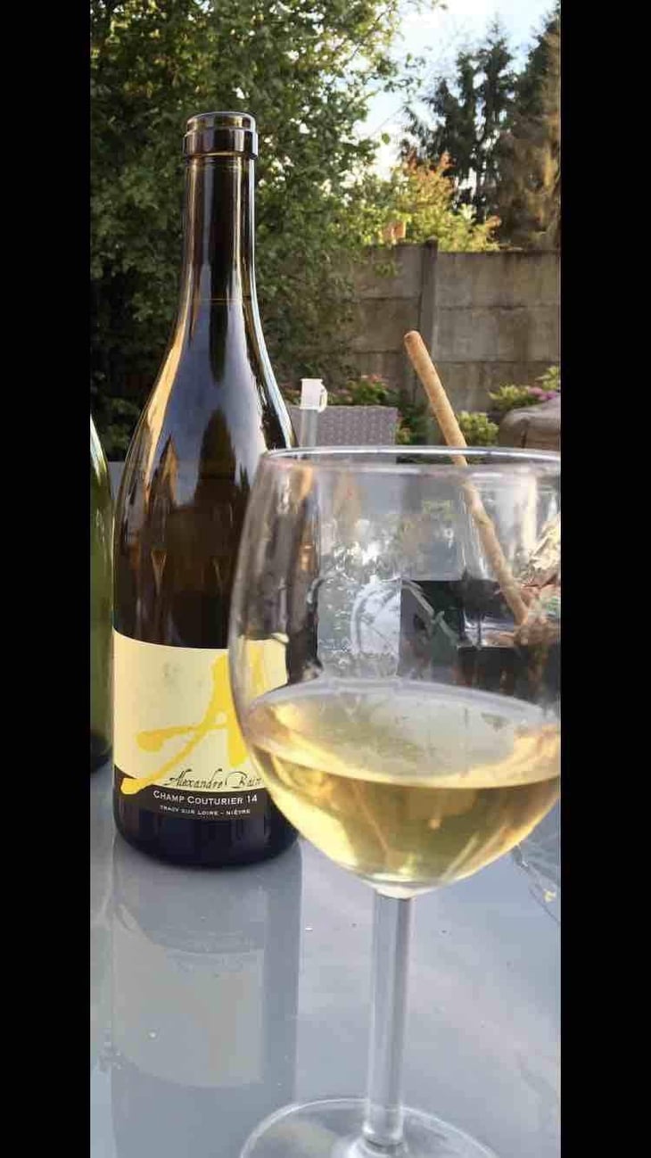 Champ Couturier - Domaine Alexandre Bain - Alexandre Bain 