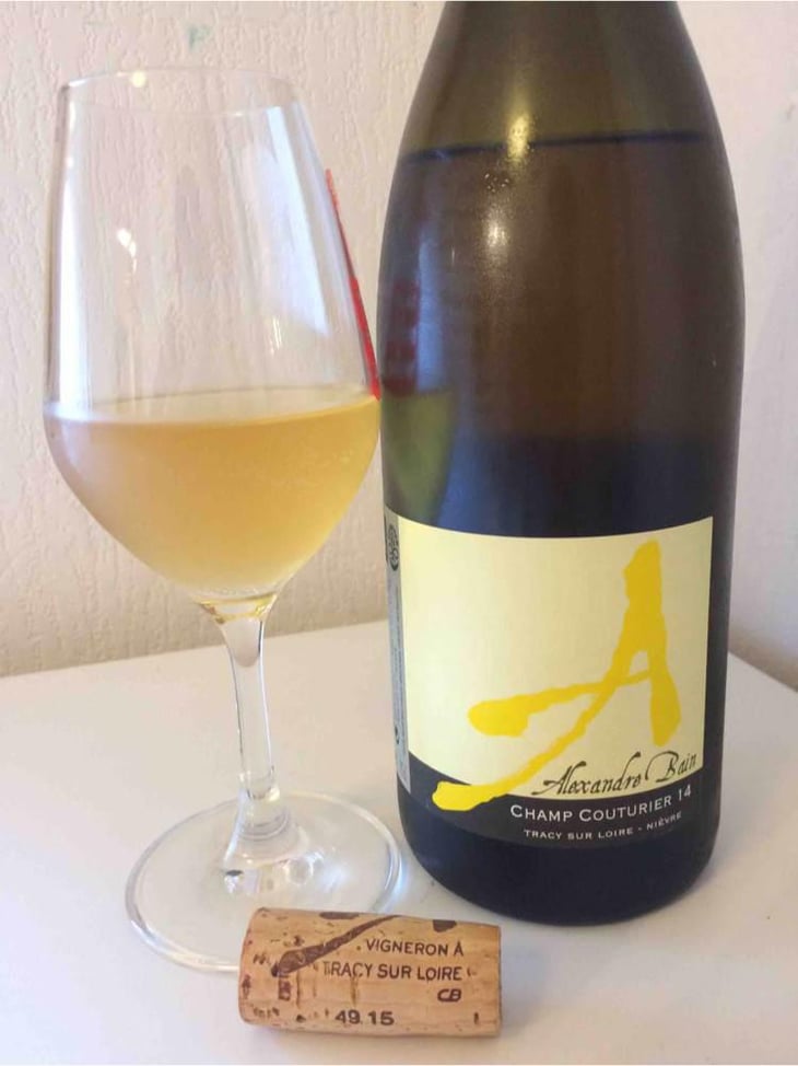 Champ Couturier - Domaine Alexandre Bain - Alexandre Bain 