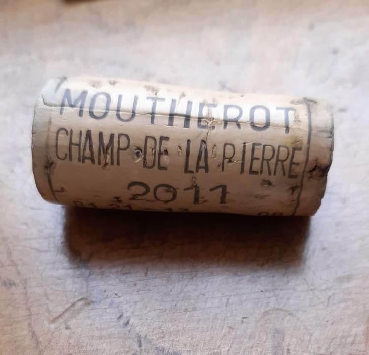 Champ de la Pierre - Le Moutherot - Georges Comte 