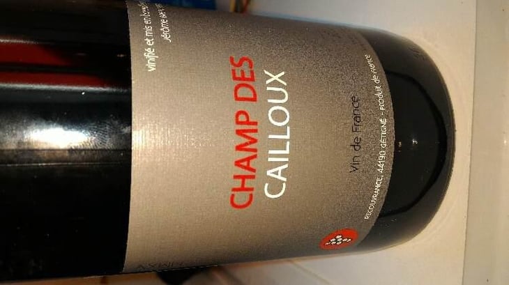 Champ des Cailloux - Domaine de Bellevue - Jérôme Bretaudeau 