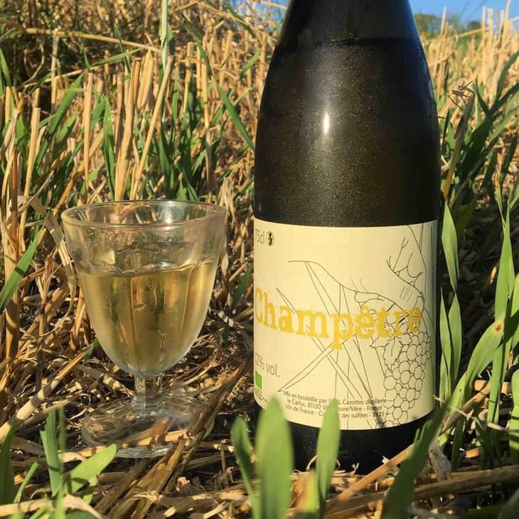 Champêtre - Distillerie et Domaine Cazottes - Laurent Cazottes 