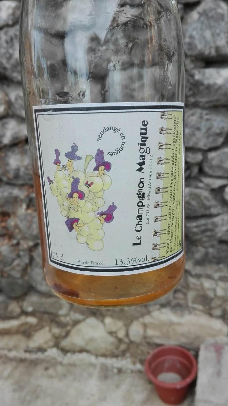 Champignon Magique - Pierre Beauger - Pierre Beauger 