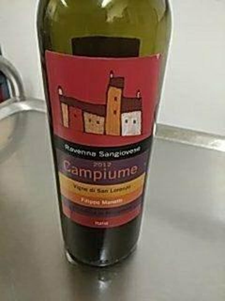 Campiume - Vigne di San Lorenzo - Filippo Manetti 