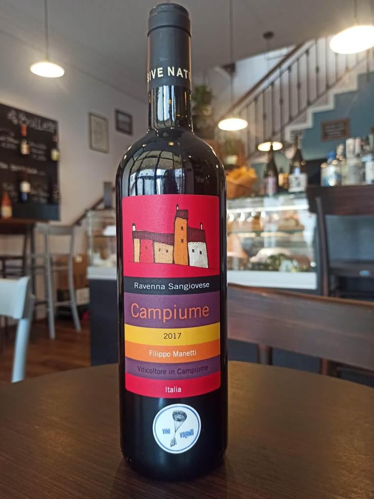 Campiume - Vigne di San Lorenzo - Filippo Manetti 