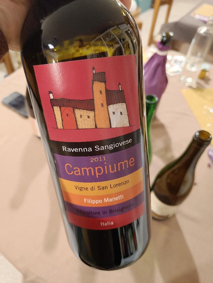 Campiume - Vigne di San Lorenzo - Filippo Manetti 