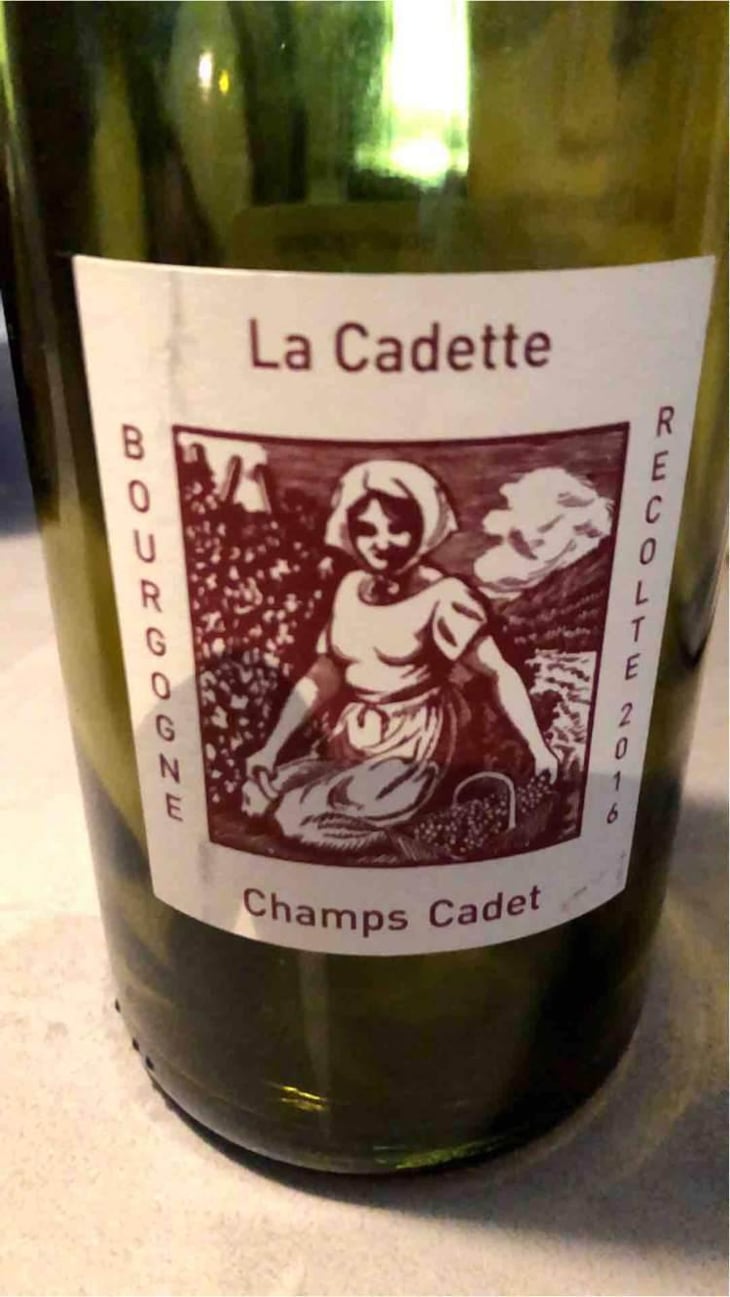 Champs Cadet - Domaine de La Soeur Cadette - Jean & Valentin Montanet 