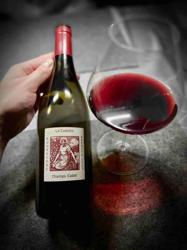 Champs Cadet - Domaine de La Soeur Cadette - Jean & Valentin Montanet 
