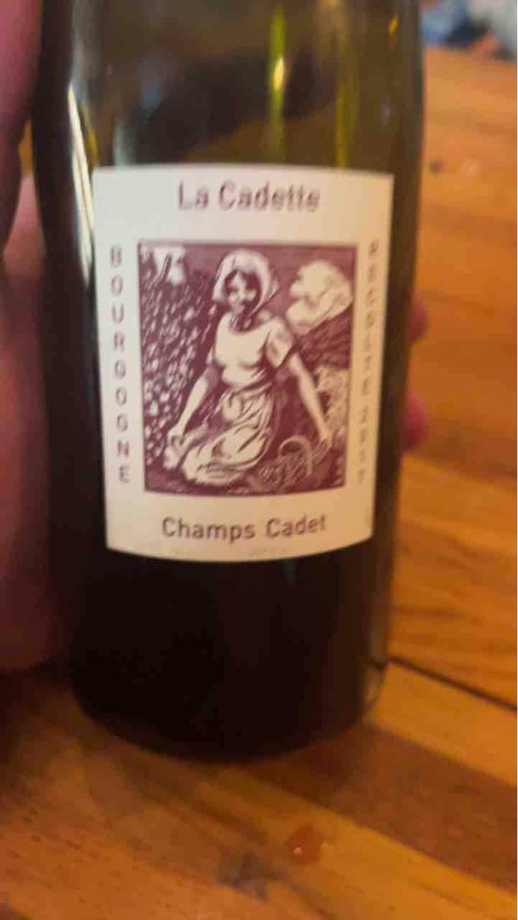 Champs Cadet - Domaine de La Soeur Cadette - Jean & Valentin Montanet 