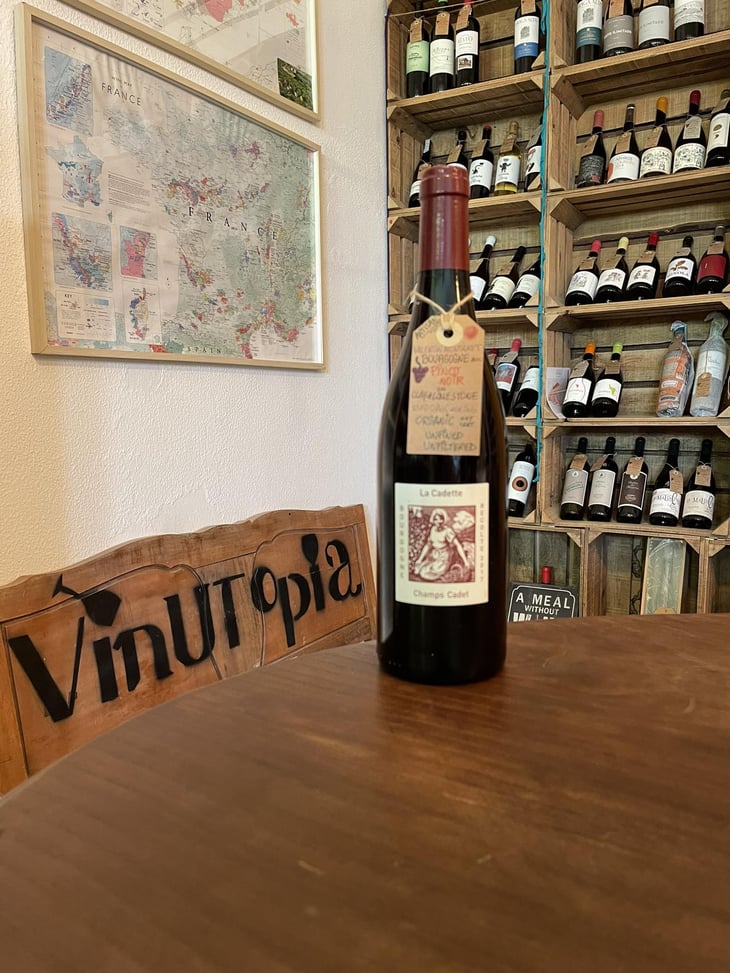 Champs Cadet - Domaine de La Soeur Cadette - Jean & Valentin Montanet 