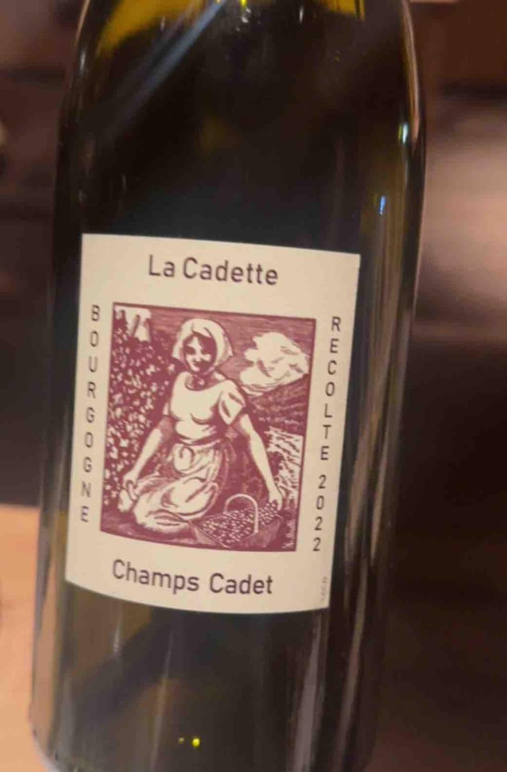 Champs Cadet - Domaine de La Soeur Cadette - Jean & Valentin Montanet 