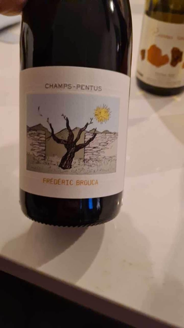 Champs Pentus - Domaine Fréderic Brouca - Fréderic Brouca 