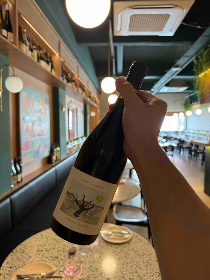 Champs Pentus - Domaine Fréderic Brouca - Fréderic Brouca 