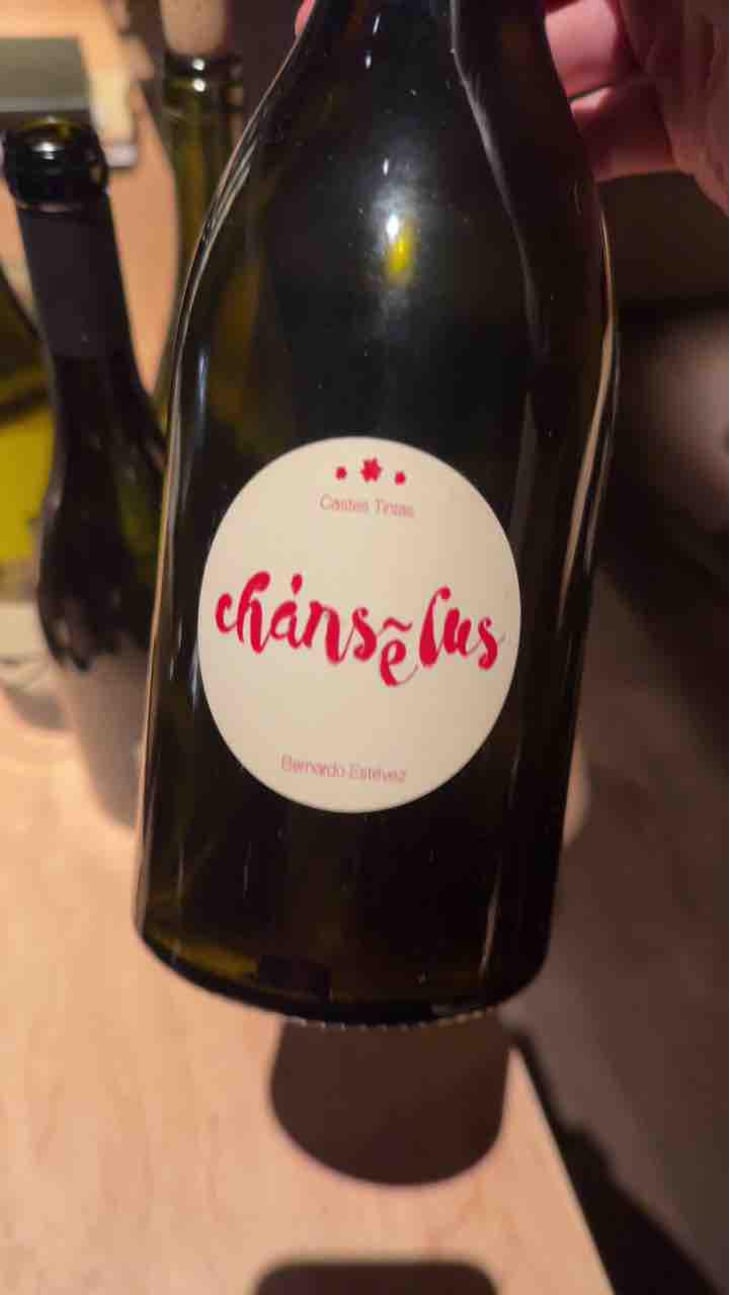 Chanselus Castes Tintas - Bernardo Estévez - Bernardo Estévez Villar -2016