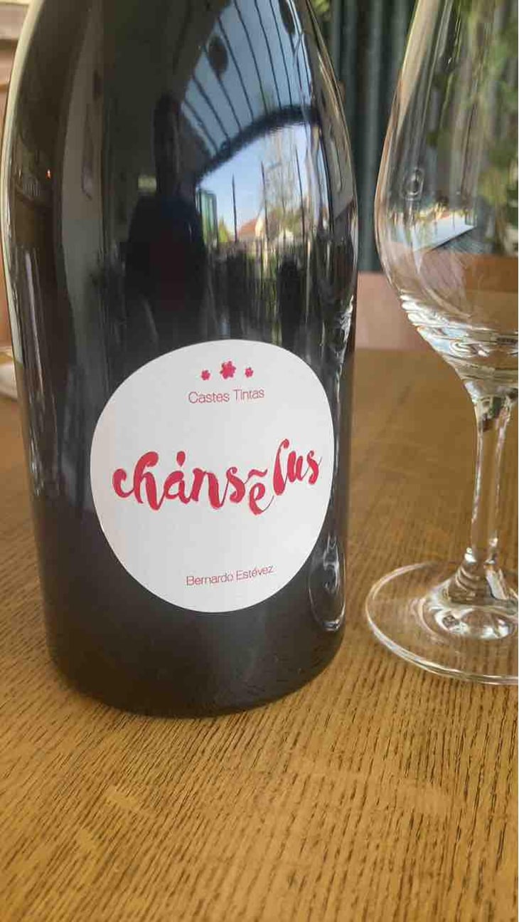 Chanselus Castes Tintas - Bernardo Estévez - Bernardo Estévez Villar -2016