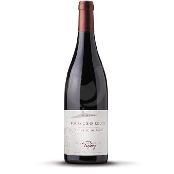 Chant de la Tour - Domaine Tripoz - Céline & Laurent Tripoz 