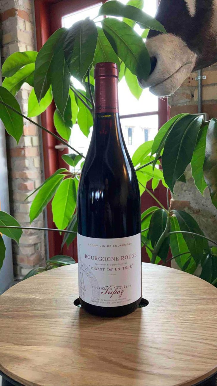 Chant de la Tour - Domaine Tripoz - Céline & Laurent Tripoz 