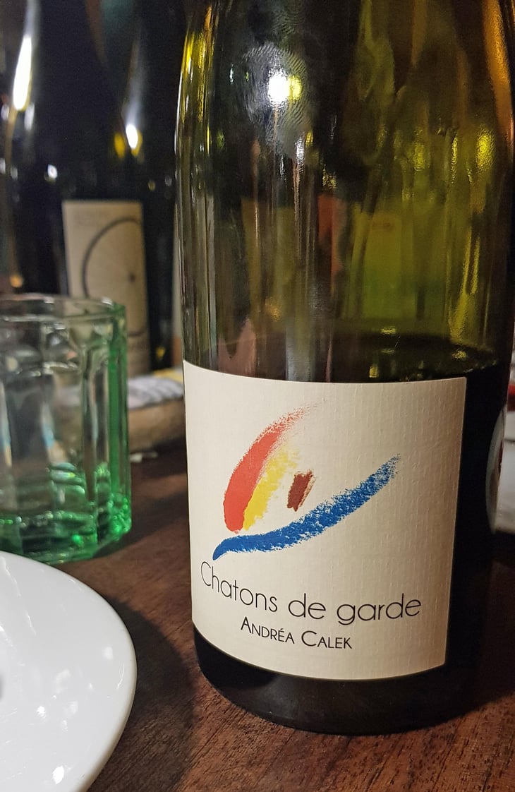 Chatons de Garde - Andrea Calek - Andrea Calek & Stephana Nicolescu 