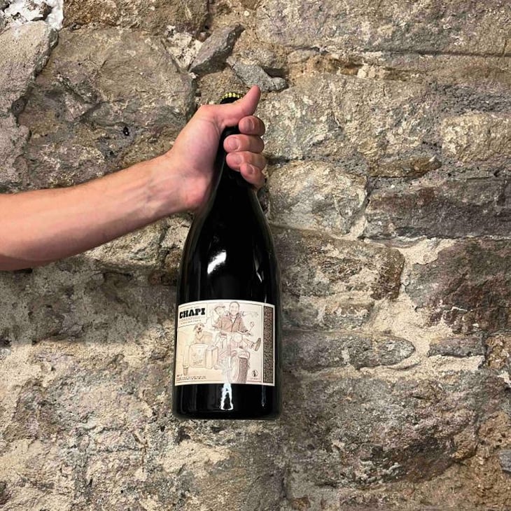 Chapi Champion - Le Nez de Goth - Olivier Boulin -2021