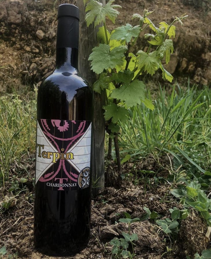 Chardonnay - Azienda Agricola Franco Terpin - Franco Terpin 