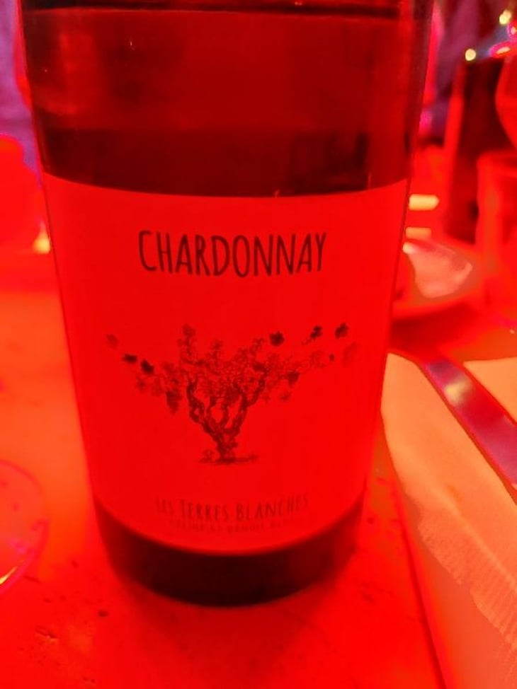 Chardonnay - Les Terres Blanches - Celine & Benoit Blet -2020