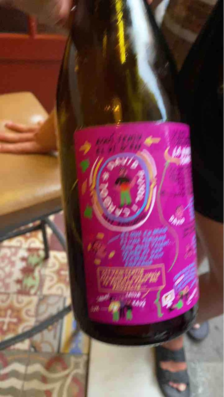 Chardonnay - Les Donneurs de Temps - Guillaume Gilet 