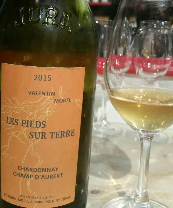 Chardonnay Champ d'Aubert - Les Pieds Sur Terre - Valentin Morel 