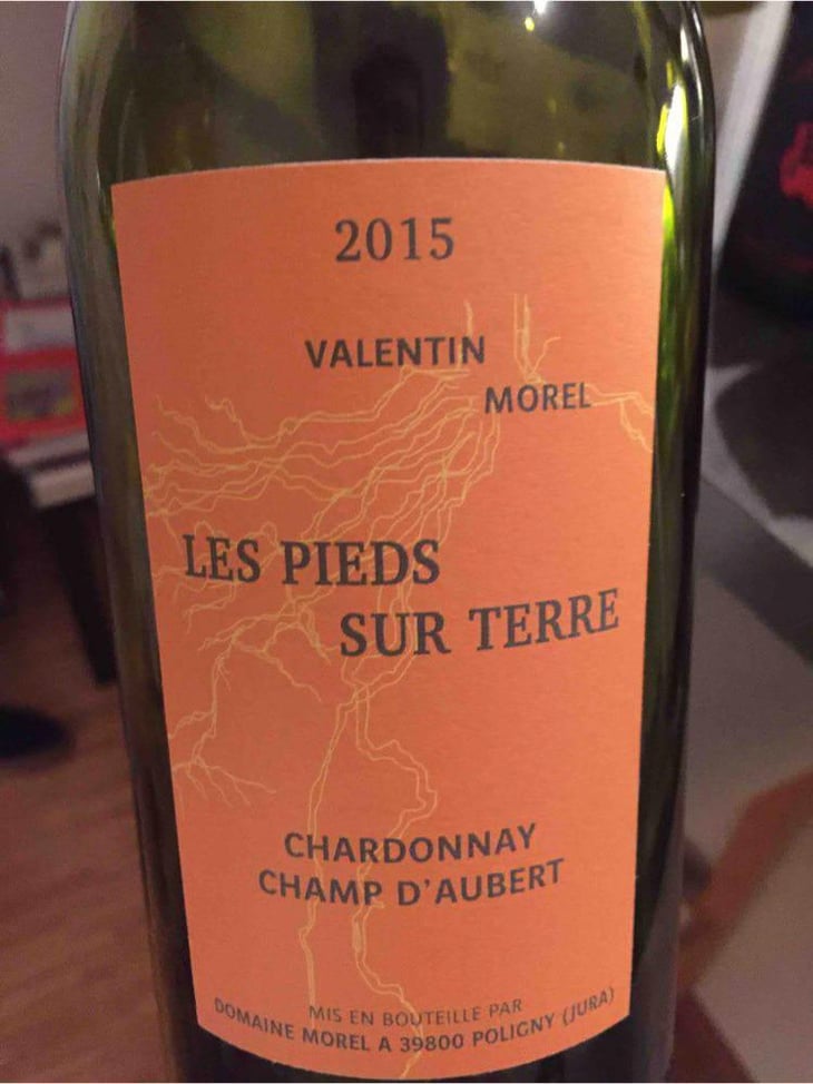 Chardonnay Champ d'Aubert - Les Pieds Sur Terre - Valentin Morel 