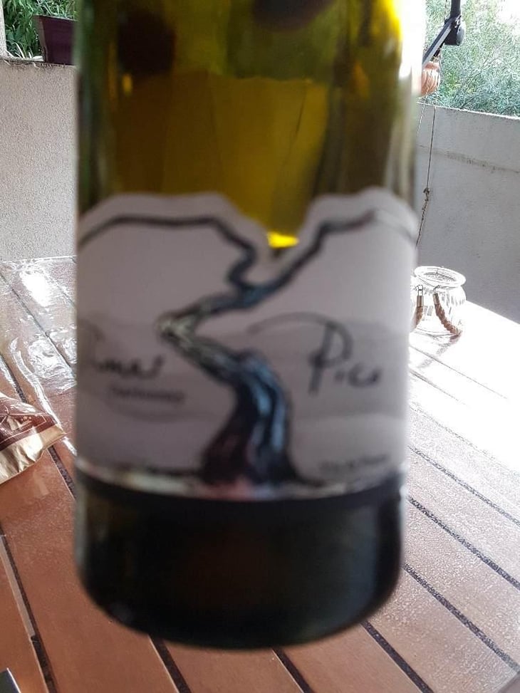 Chardonnay - Domaine Pattes Loup - Thomas Pico 