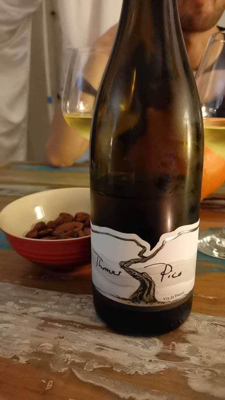 Chardonnay - Domaine Pattes Loup - Thomas Pico 