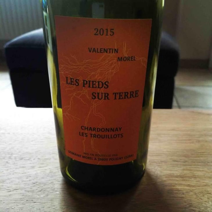 Chardonnay Les Trouillots - Les Pieds Sur Terre - Valentin Morel 