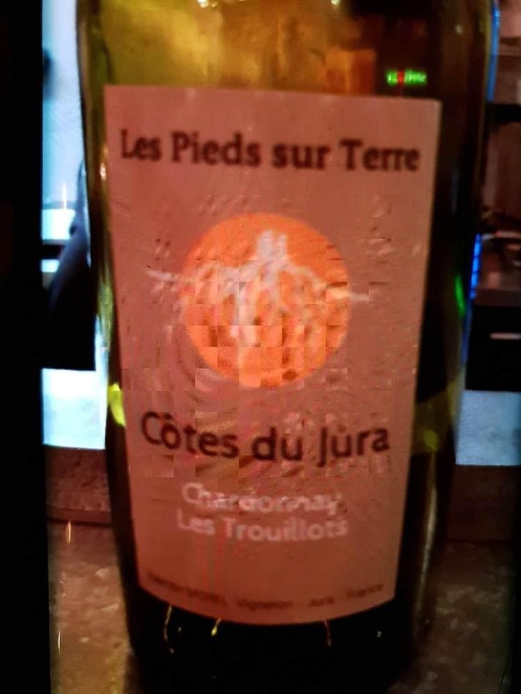 Chardonnay Les Trouillots - Les Pieds Sur Terre - Valentin Morel 